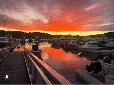 Newport Marine Services