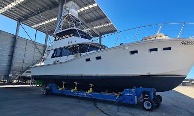 All Tones Marine Painting