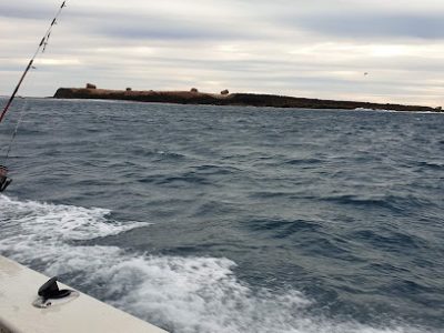 Total Marine Repairs